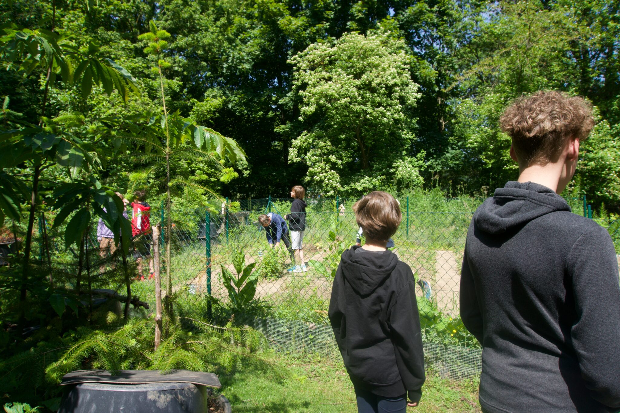 Jugendliche stehen in einem grünen Gelände