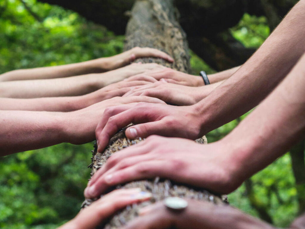 Hände auf einem Baum