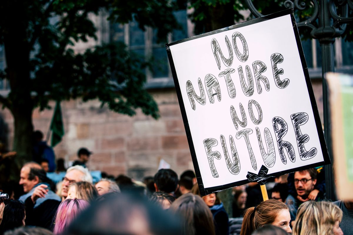 Ein Demoschild mit "No Nature, No Future"