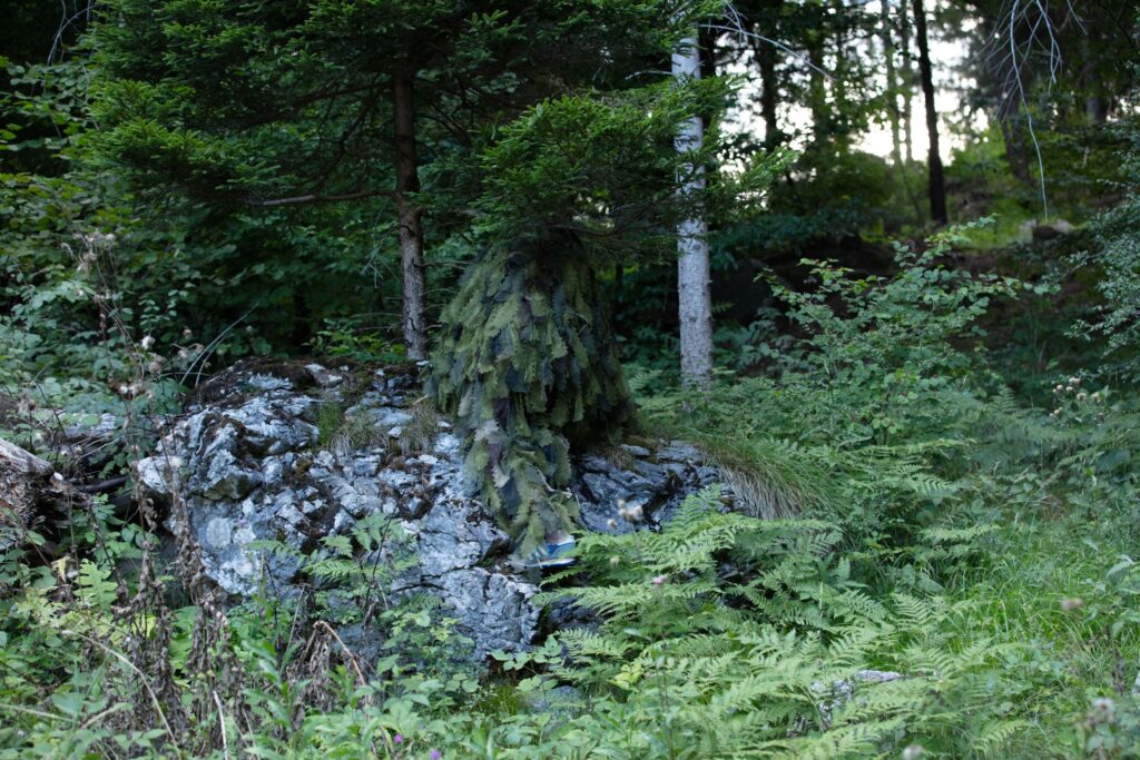 Waldlandschaft